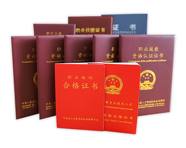團隊榮譽